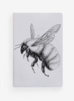 Pack 4 Libretas