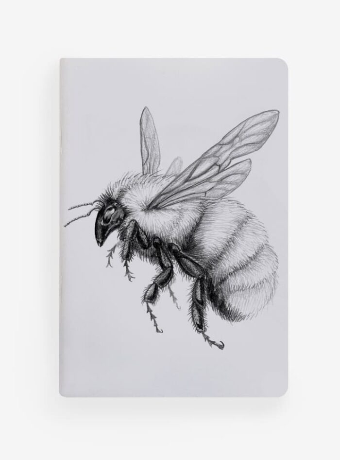 Pack 4 Libretas