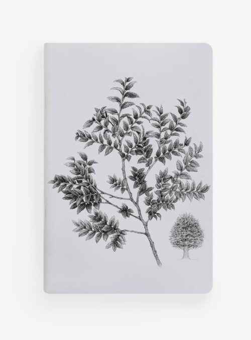 Libreta - Coihue