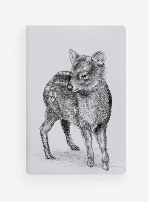 Libreta - Pudú