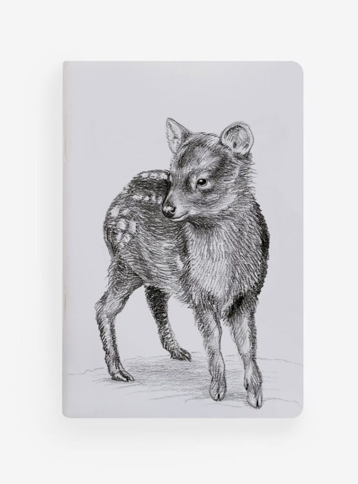 Libreta - Pudú