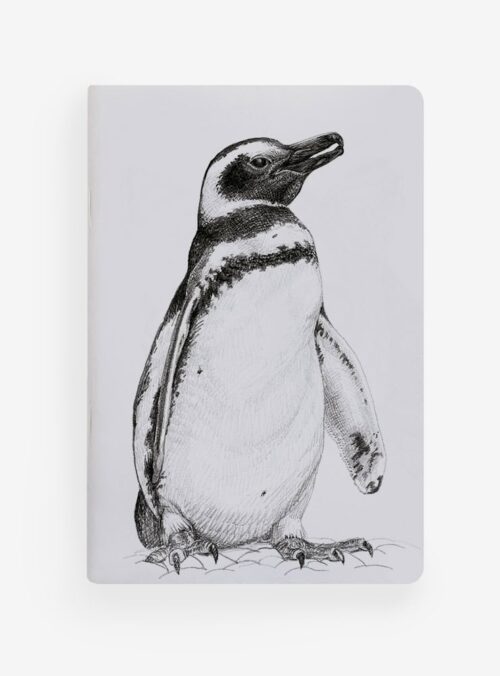 Libreta - Pingüino de Magallanes