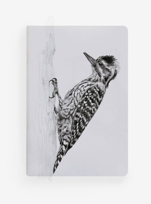 Libreta - Carpinterito