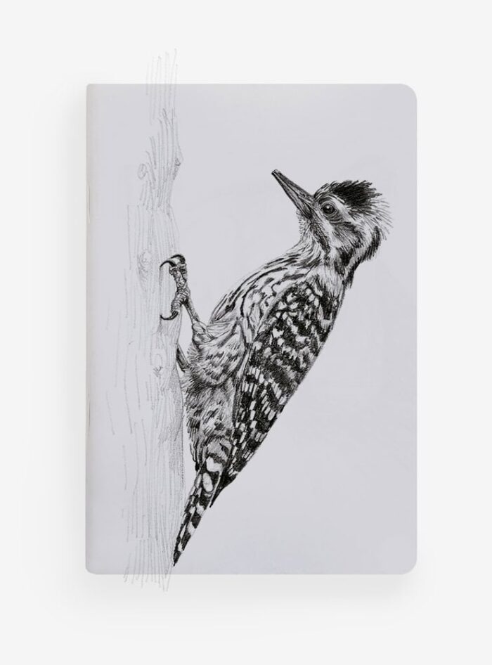 Libreta - Carpinterito