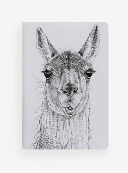 Libreta - Guanaco