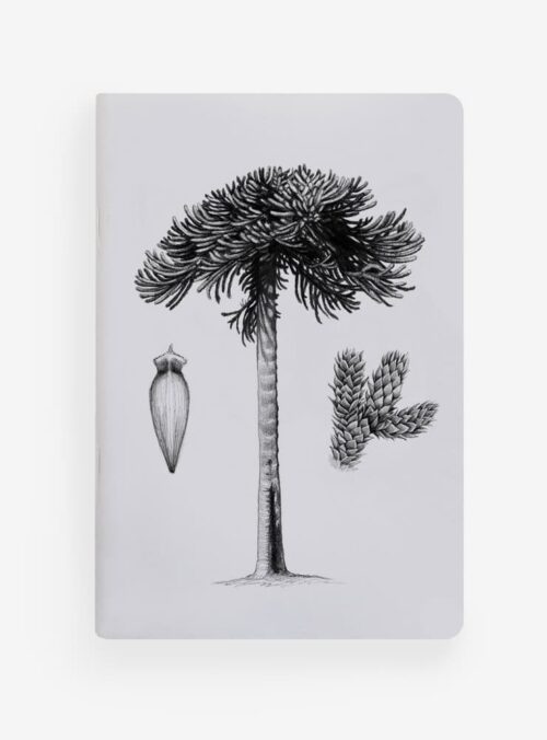 Libreta - Araucaria