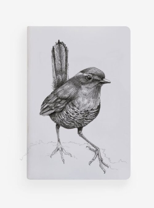 Libreta - Chucao