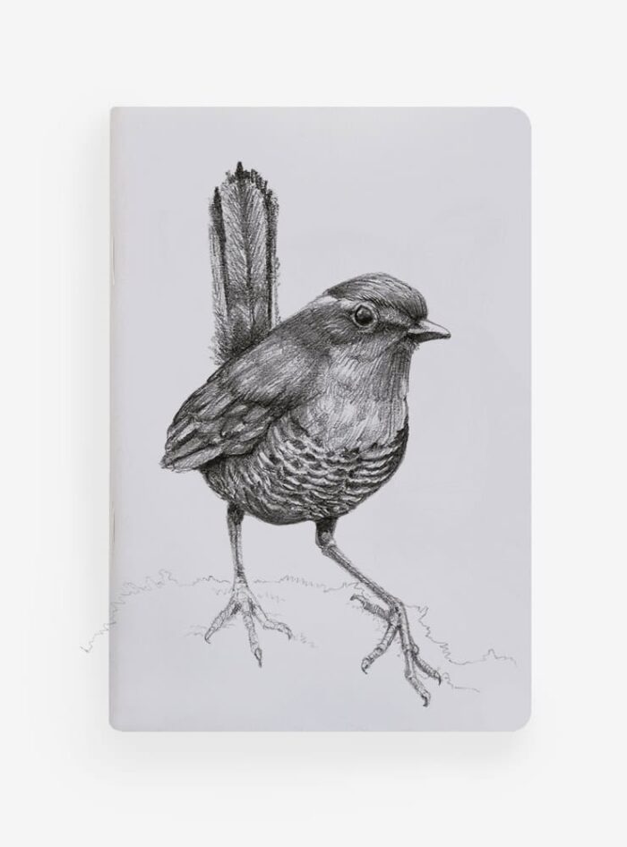 Libreta - Chucao