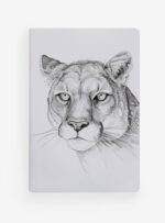 Pack Felino aventurero