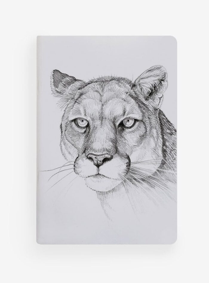 Pack Felino aventurero