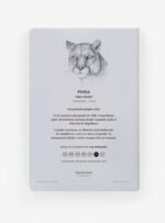 Pack Felino aventurero