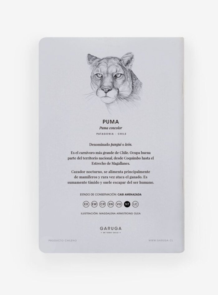 Pack Felino aventurero