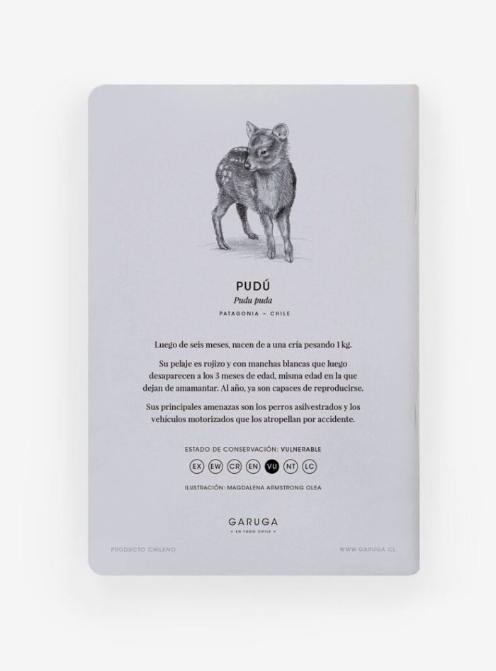 Libreta - Pudú