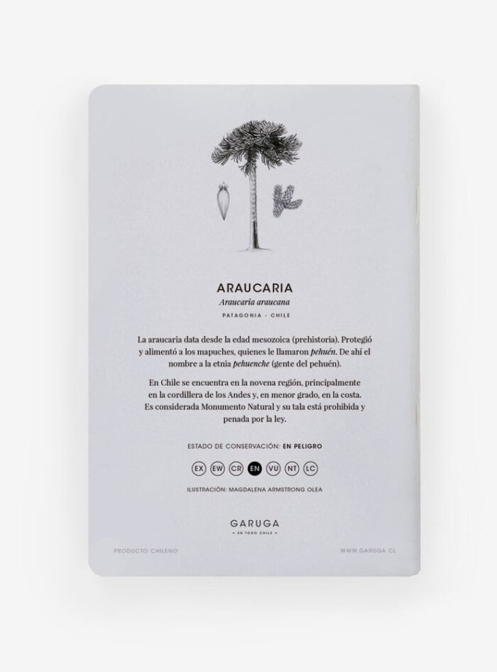 Libreta - Araucaria