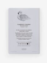 Libreta - Flamenco