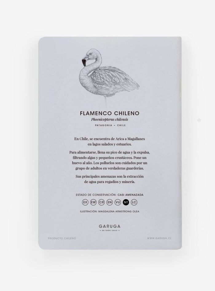 Libreta - Flamenco