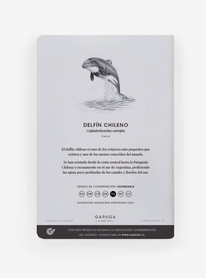 Libreta - Delfín chileno