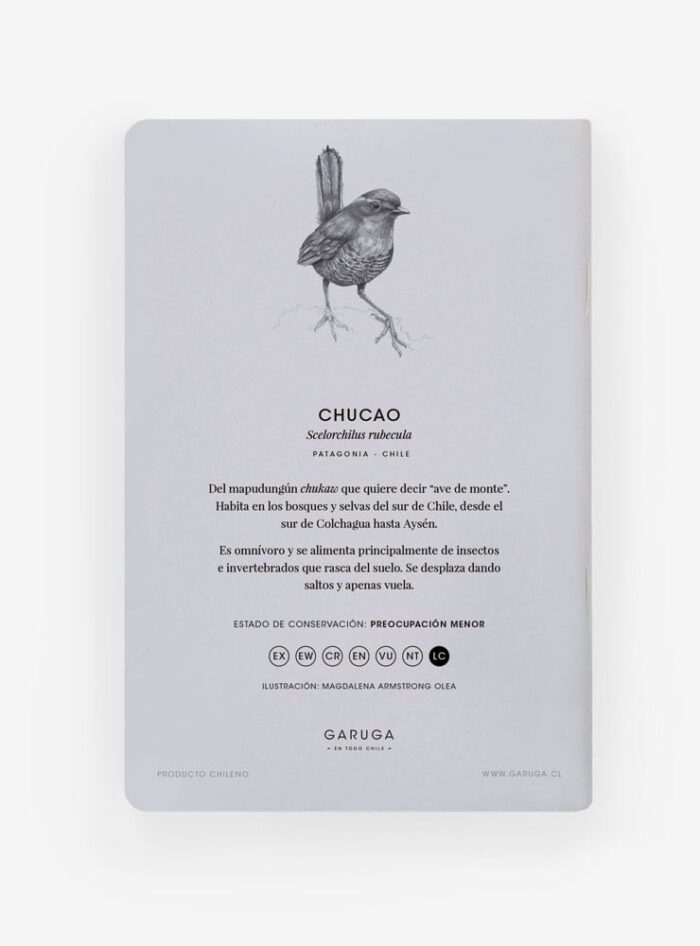 Libreta - Chucao