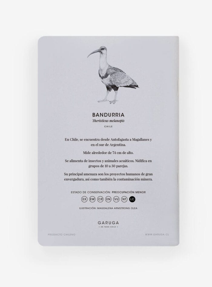 Libreta - Bandurria