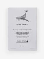 Libreta - Ballena Jorobada