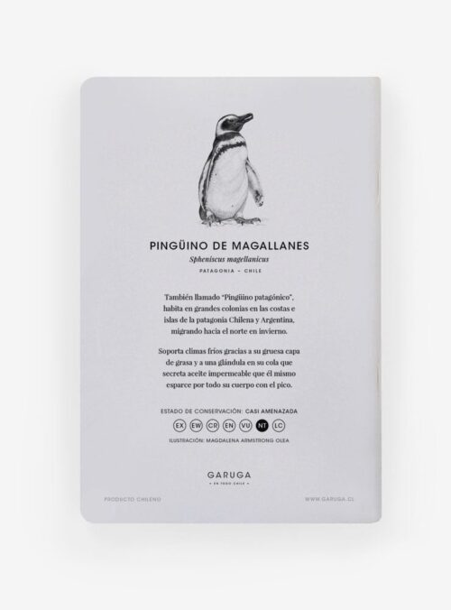 Libretas_0017_PIN-atras.jpg