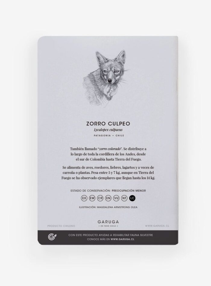 Libreta - Zorro culpeo