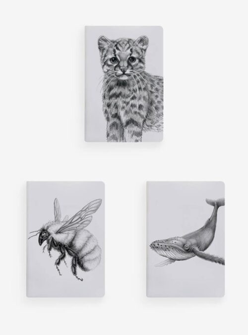 Pack 4 Libretas Bazar 13
