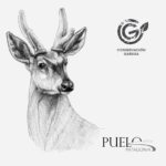 Mochila - Huemul