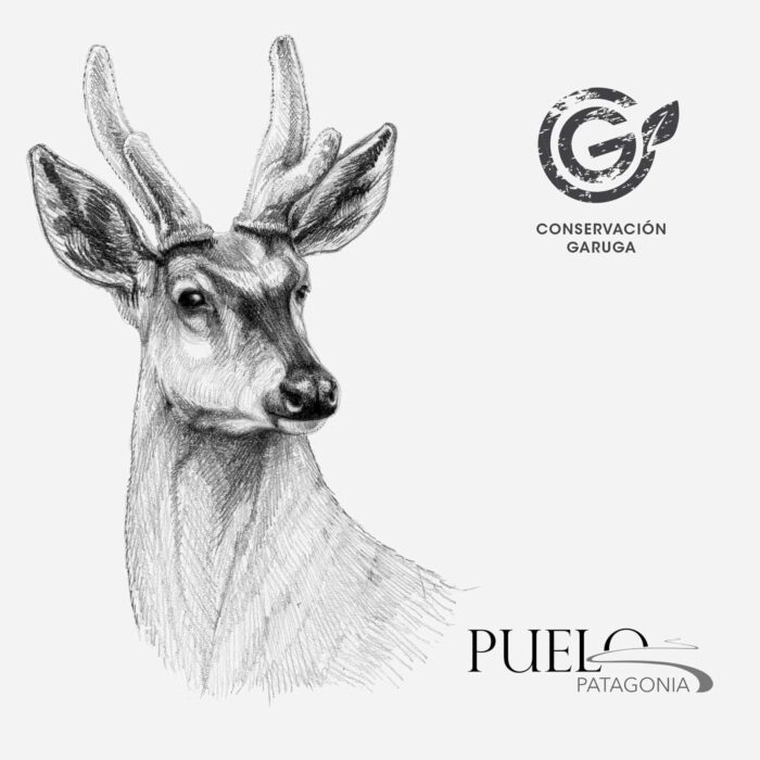 Mochila - Huemul