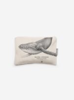 Estuche - Ballena Jorobada