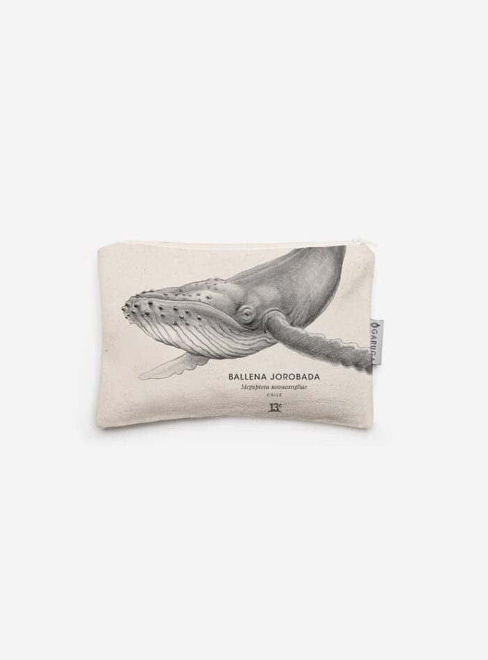 Estuche - Ballena Jorobada