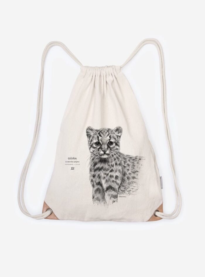 Pack Felino aventurero