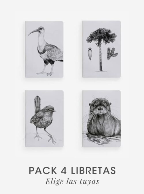 Pack 4 Libretas