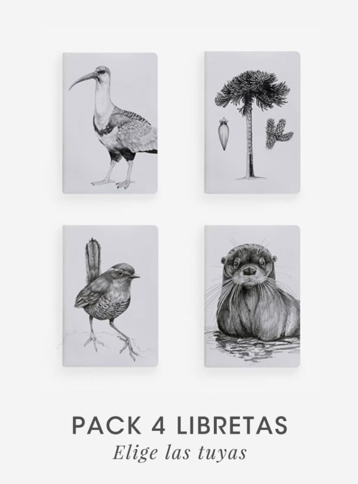 Pack 4 Libretas
