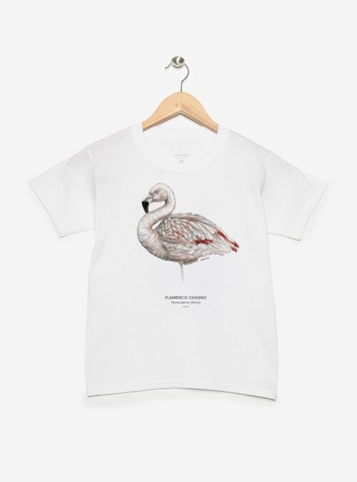 Polera Niño - Flamenco