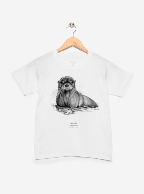 Polera Niño - Huillín