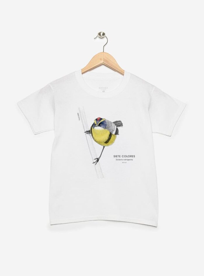 Polera Niño - Siete Colores