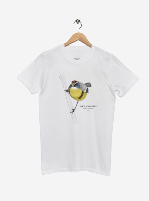 Polera Adulto - Siete Colores