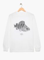 Polera Adulto Manga Larga - Perca
