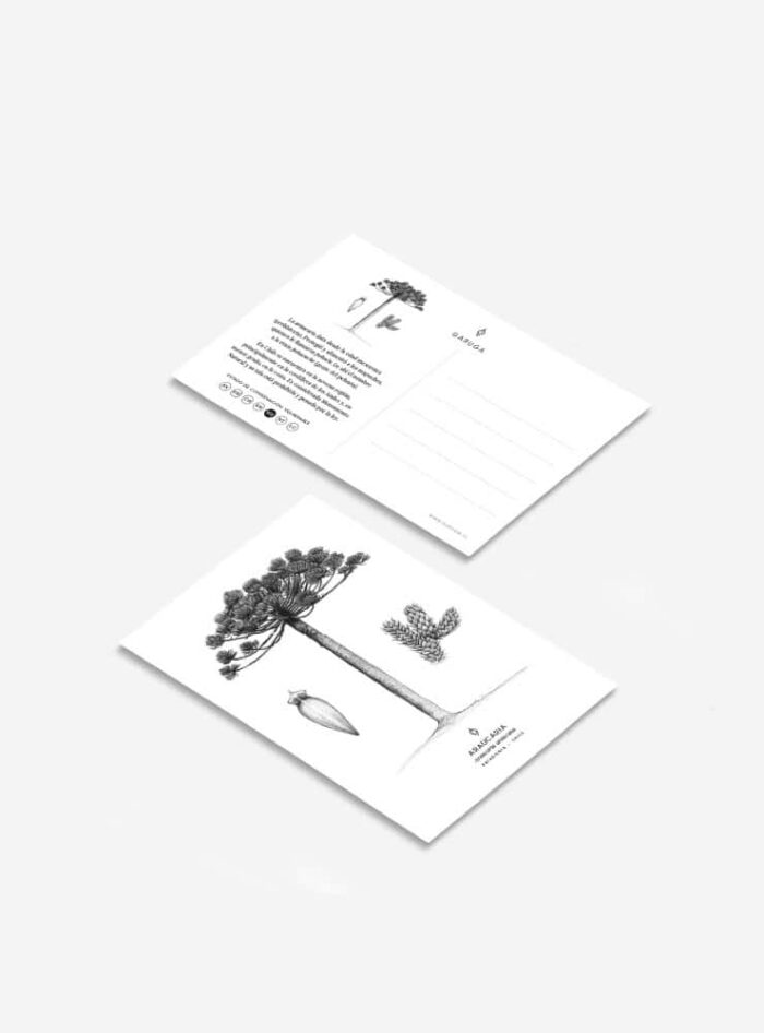 Pack 6 Postales