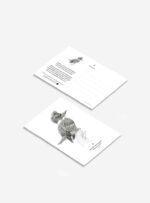 Pack 6 Postales