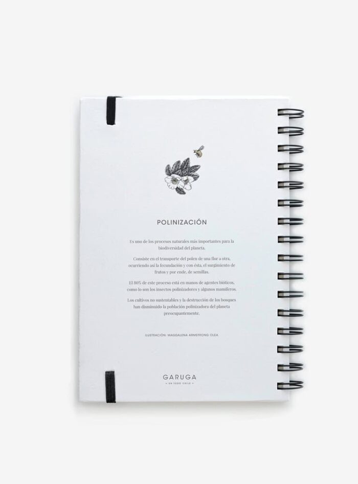Cuaderno Polinización