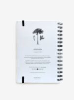 Cuaderno Araucaria