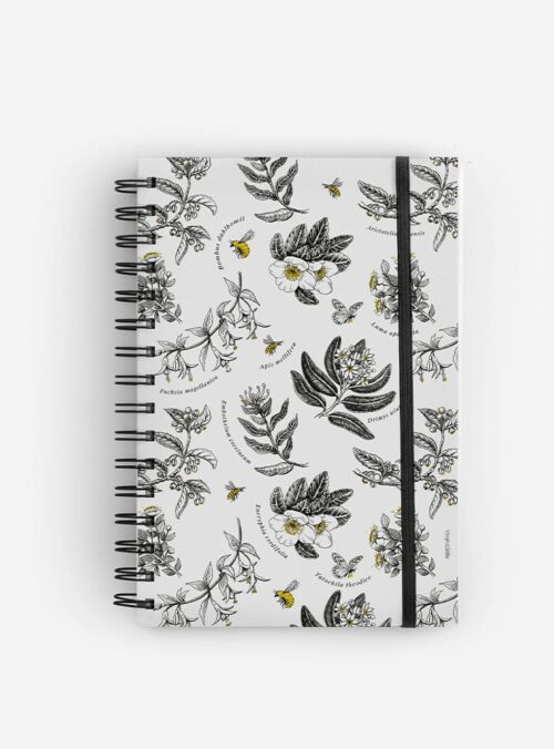 Cuaderno Polinización