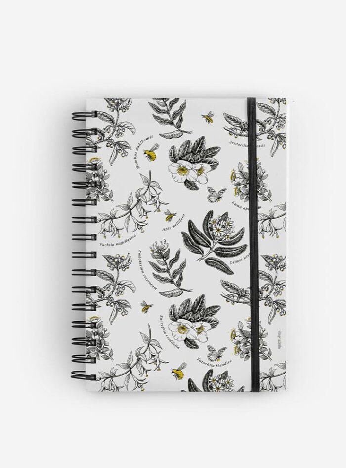 Cuaderno Polinización