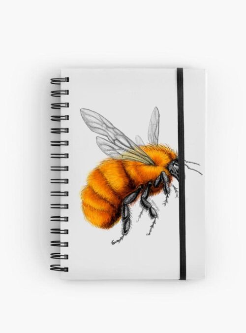 Cuaderno Abejorro