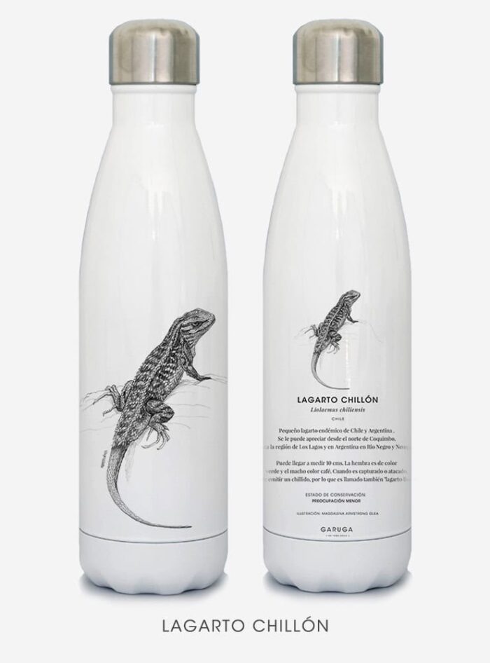 Botella Térmica - Lagarto chillón