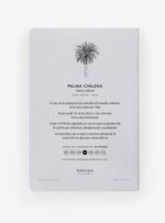 Libreta - Palma chilena