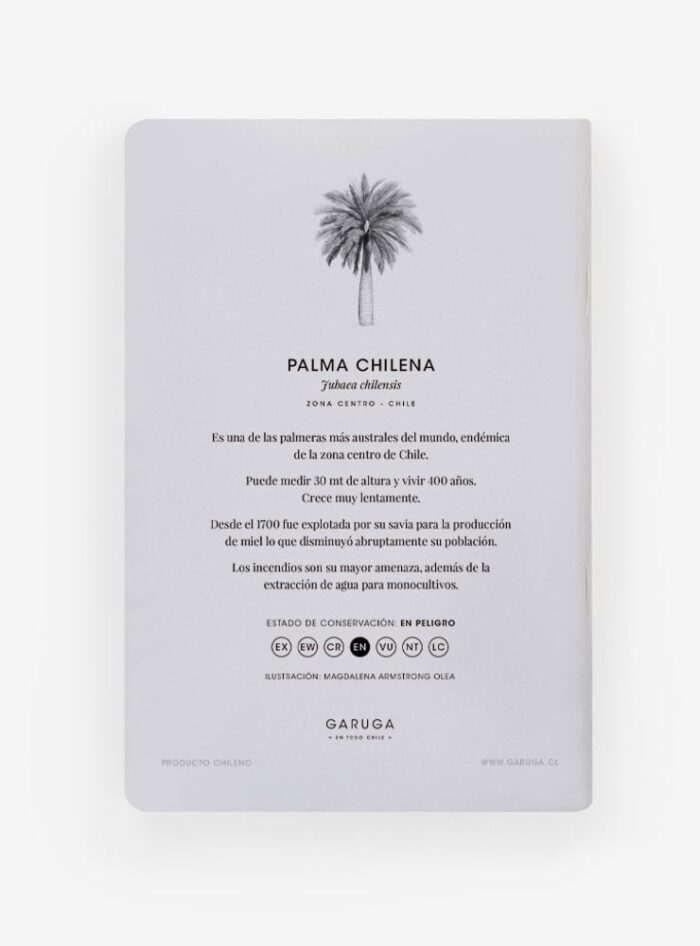 Libreta - Palma chilena