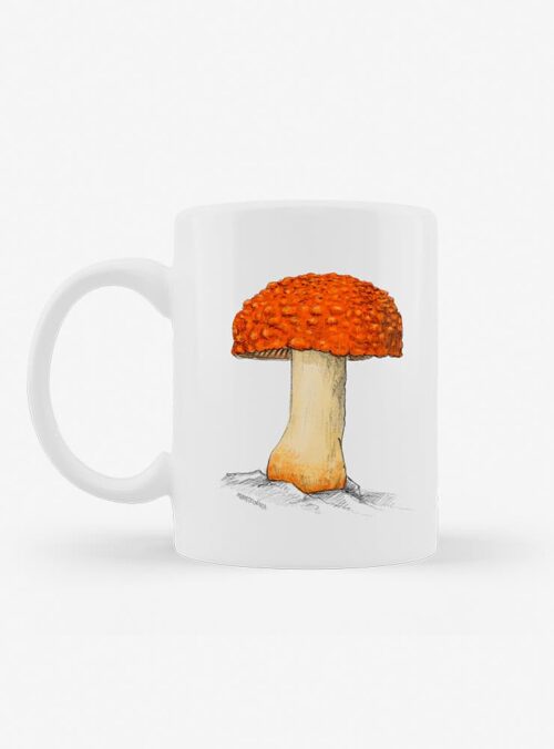 Tazón - Amanita gayana